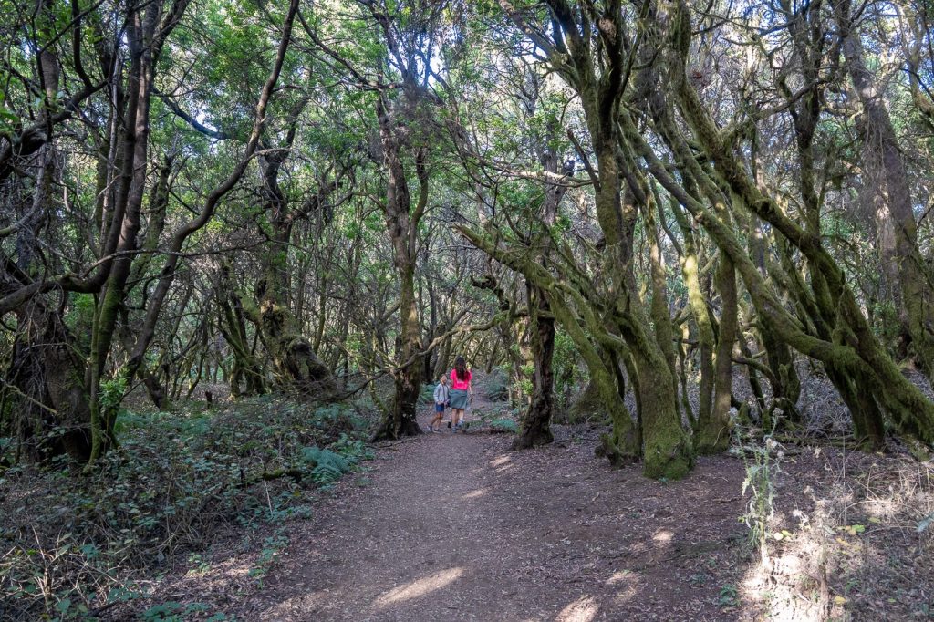 Sendero la Llanía