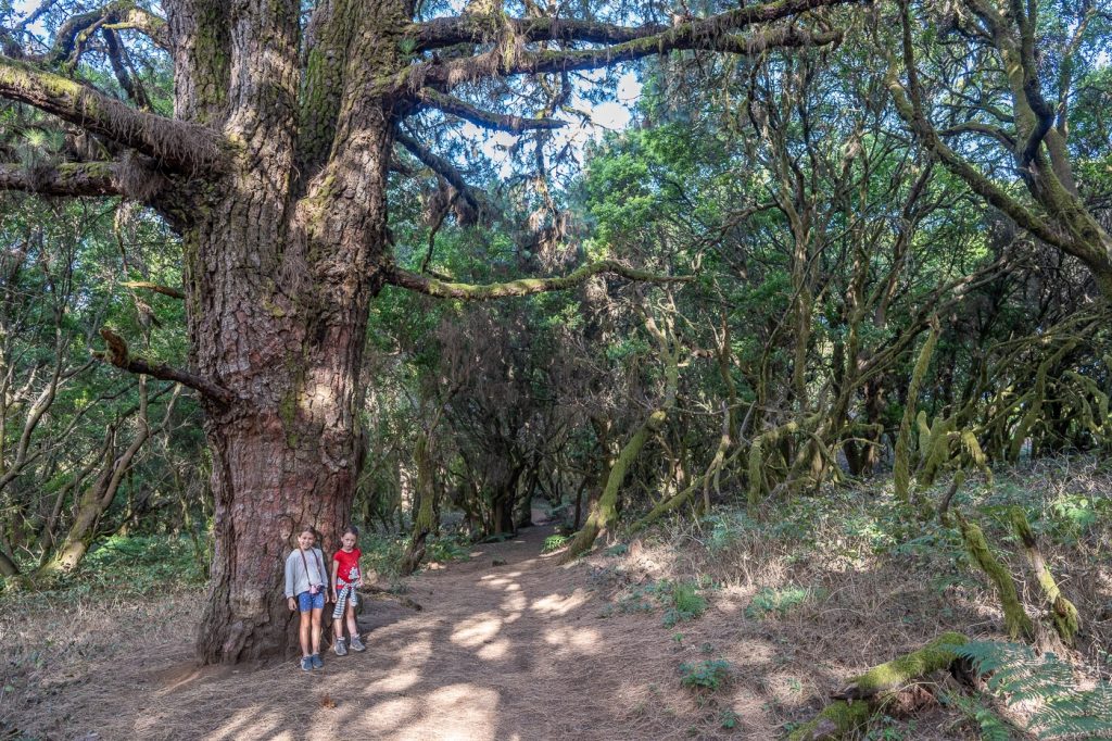 Sendero la Llanía