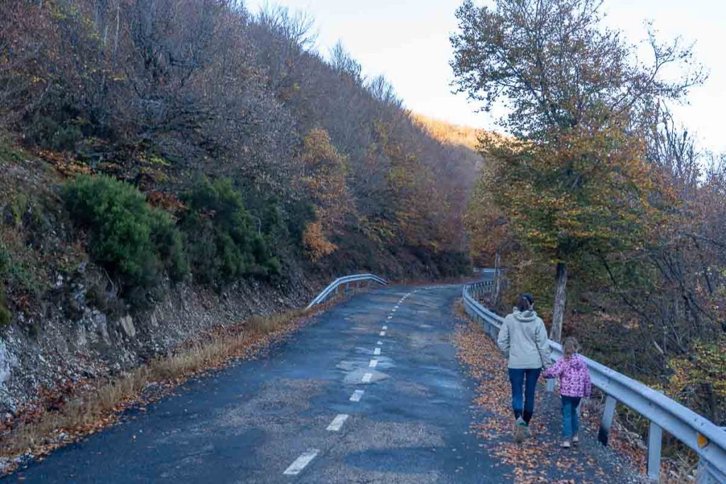 Senderismo - El mágico Hayedo de la Pedrosa en otoño Hayedo de la Pedrosa