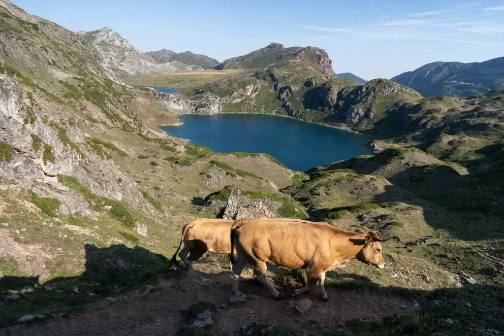 Senderismo - Lagos de Saliencia: ruta circular desde el Alto de la Farrapona hasta el Lago del Valle Lago del Valle