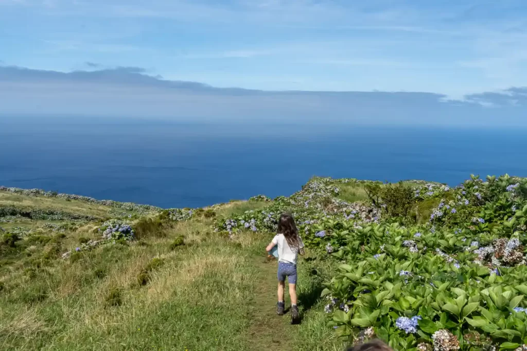 Portugal - Flores Azores en 4 días: ruta por la isla con niños y excursión a Corvo PR3FLO Miradouro das Lagoas - Poço do Bacalhau