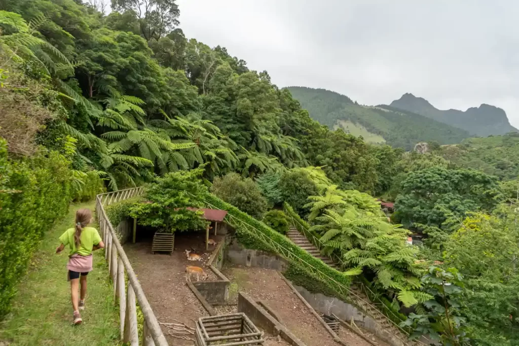 Portugal - Flores Azores en 4 días: ruta por la isla con niños y excursión a Corvo Parque Florestal Luís Paulo Camacho