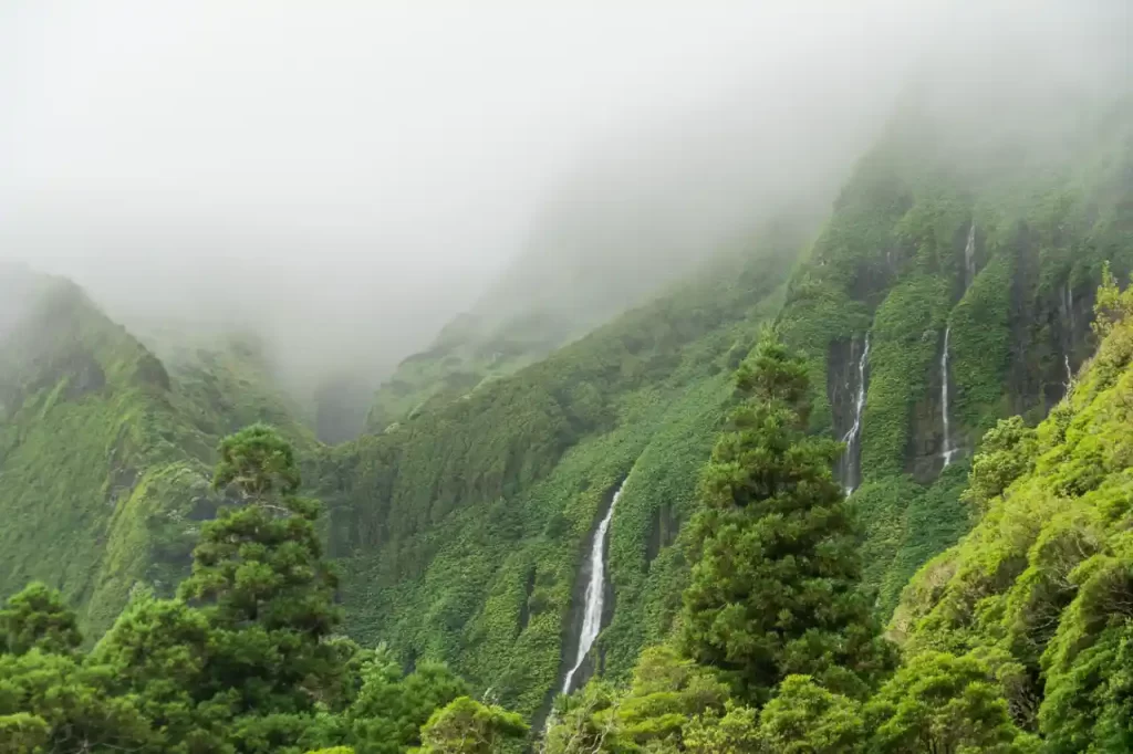 Portugal - Flores Azores en 4 días: ruta por la isla con niños y excursión a Corvo Niebla en Flores