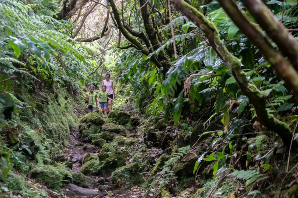 Portugal - Qué ver en Terceira: nuestra ruta por la isla de Azores con niños Passagem das Bestas en Terceira