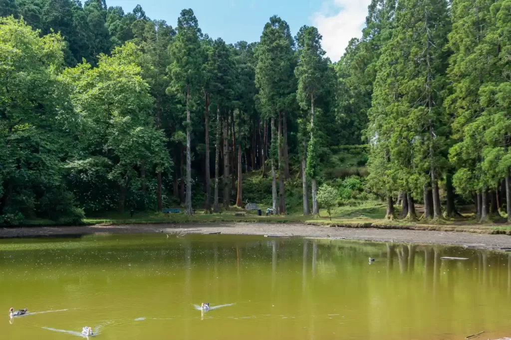 Portugal - Qué ver en Terceira: nuestra ruta por la isla de Azores con niños Lagoa das Patas