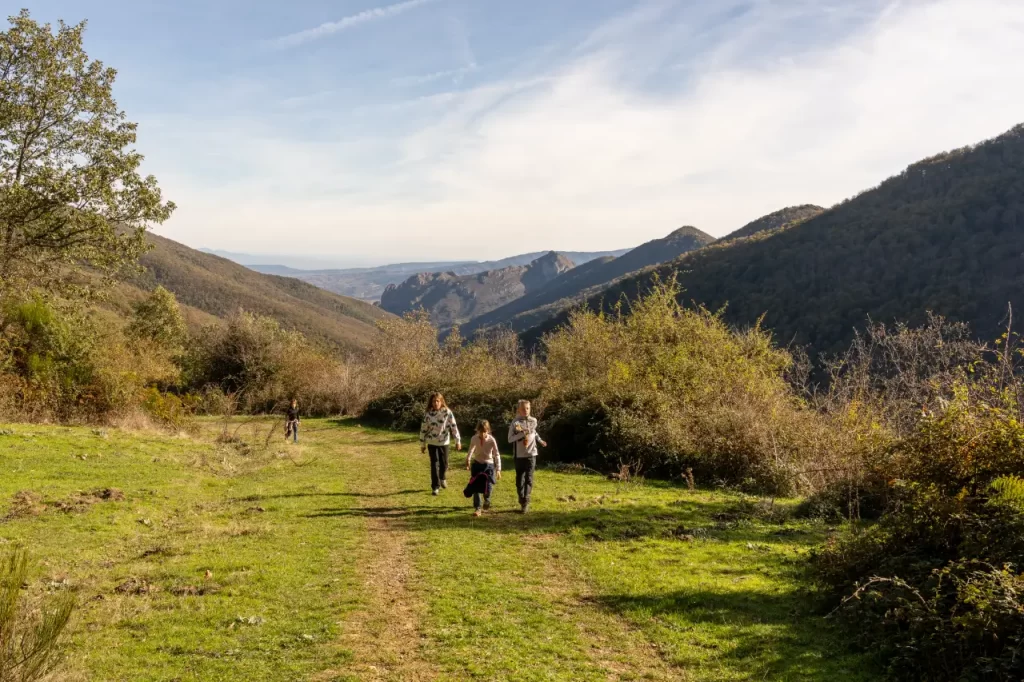 Senderismo - La bonita ruta otoñal del hayedo de Tobía Hayedo de Tobia